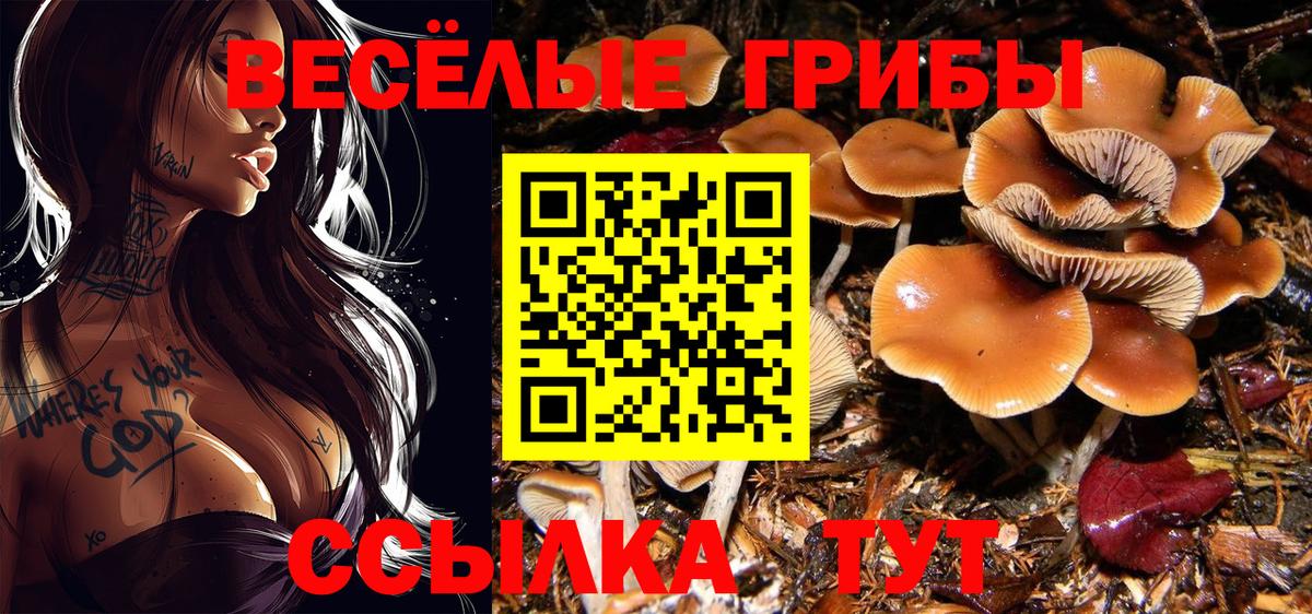Мариинск  Галлюциногенные грибы прущие грибы  Псилоцибиновые грибы мицелий  закладки  Вход с VPN 